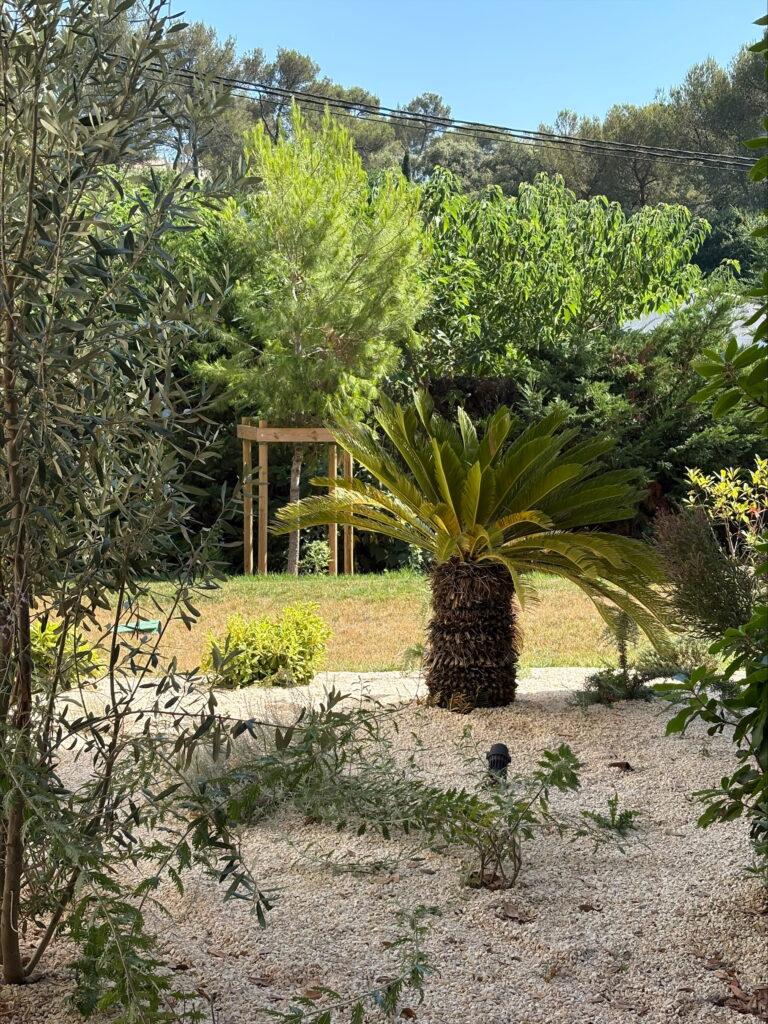 processed-5F749566-609D-4846-BB9D-FB7517B3A103